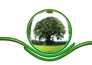Image représentant des pratiques éco-responsables