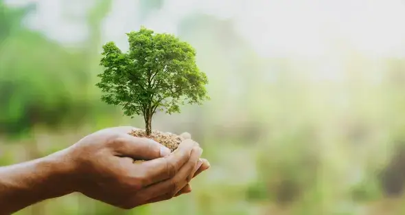 Image représentant des pratiques éco-responsables