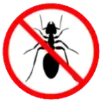 Logo de Nuisibles Services 4D montrant une fourmi barrée